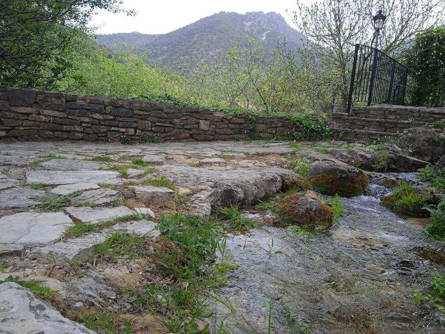 Alojamientos Sierra De Cadiz Бенамаома Екстериор снимка