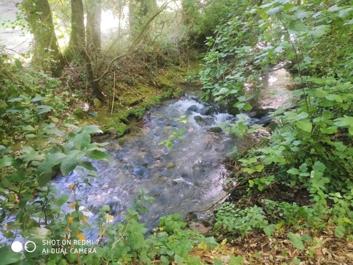 Alojamientos Sierra De Cadiz Бенамаома Екстериор снимка