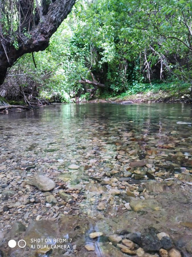 Alojamientos Sierra De Cadiz Бенамаома Екстериор снимка
