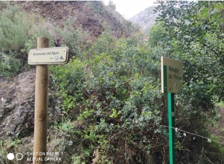 Alojamientos Sierra De Cadiz Бенамаома Екстериор снимка