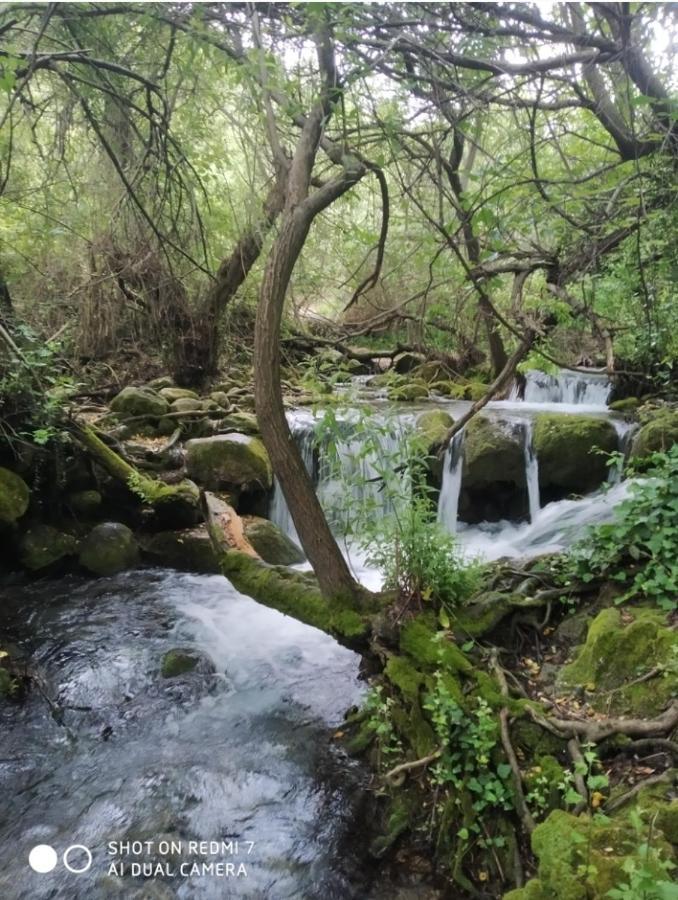 Alojamientos Sierra De Cadiz Бенамаома Екстериор снимка