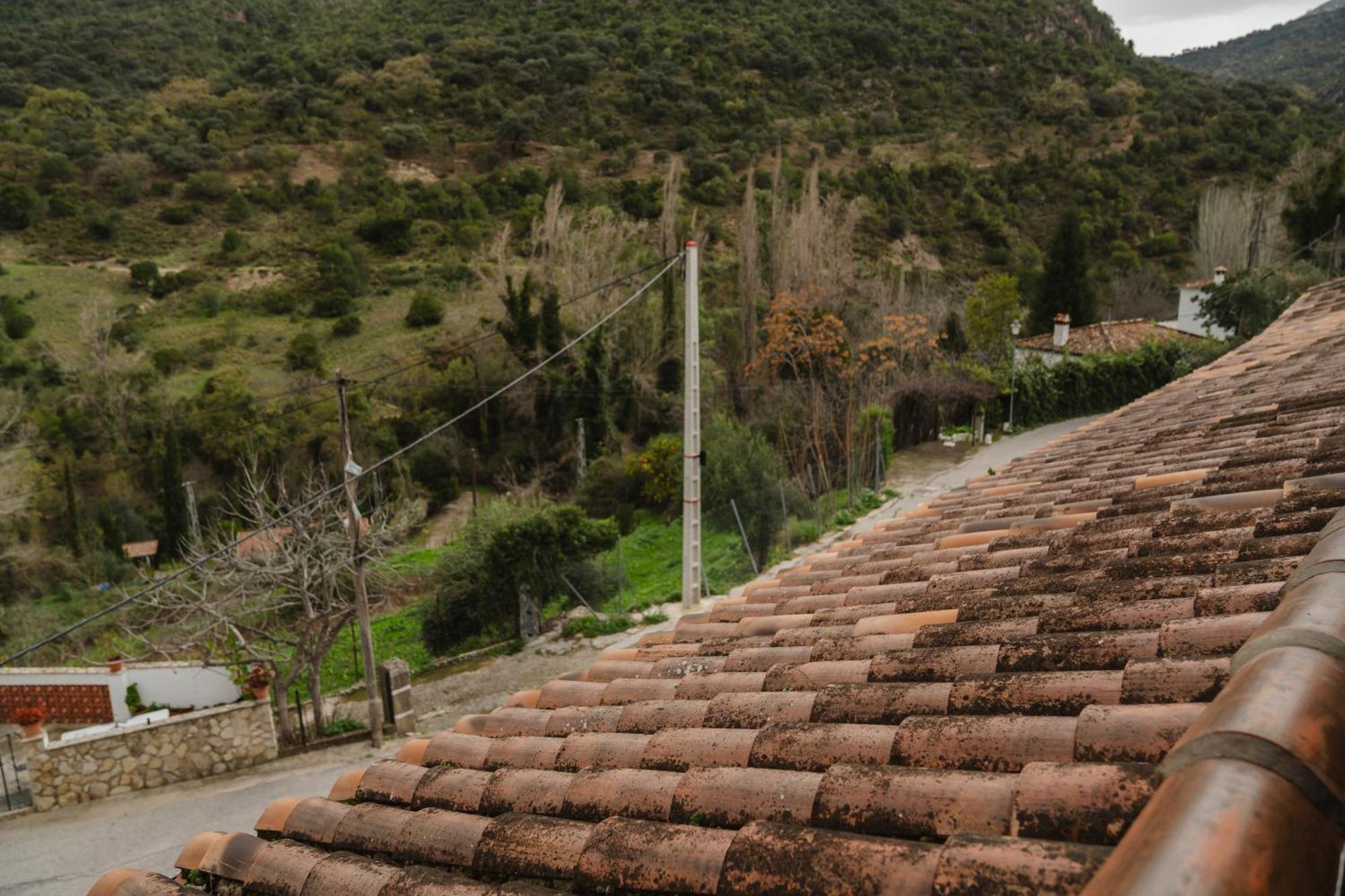 Alojamientos Sierra De Cadiz Бенамаома Екстериор снимка